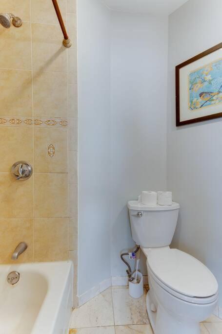 New! Near Mbta, 3 Mi To Fenway! Appartamento